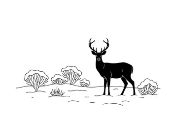 silhouette of a deer in the forest