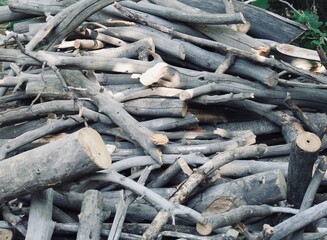 pile of firewood