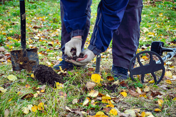 A person is kneeling on the ground, carefully examining the items found while metal detecting. Surrounding them are fallen autumn leaves and a shovel nearby
