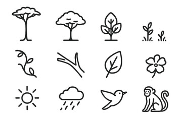 Forest Canopy Icons. Line style icons of Canopy Layers: Emergent Tree, Canopy, Understory, Forest Floor; Vine, Branch, Leaf,