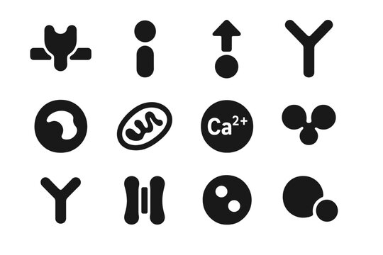 Cell Signaling Icons. Solid style icons of cell signaling: receptor protein, ligand, secondary messenger, phosphorylation, nucleus