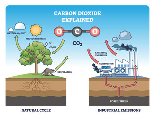 Carbon dioxide explained, a simple visual of the natural cycle versus industrial emissions, showing tree, factory, and car to illustrate photosynthesis, combustion, and CO2 flow. Outline diagram