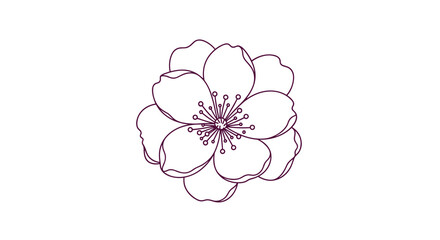 Delicate floral illustration of a blossoming flower with layered petals and detailed center, perfect for spring themes and botanical designs.