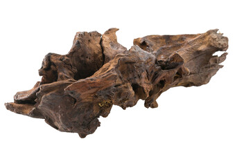 Ancient fossilized bone fragment with intricate texture and detail isolated on white