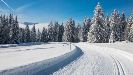 Obraz premium piste de ski de fond dans les alpes sous le soleil en hiver, sports d'hiver, saison, couche de neige, sport à Chamrousse en France, paysage alpin