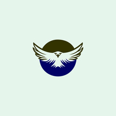 A fierce flying eagle forming a bold letter monogram logo, designed with dynamic wings and an angry expression. Ideal for sports teams, security brands, aviation, and powerful identity visuals.