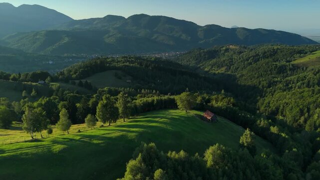 Golden hour aerial of isolated hilltop farm with grazing cows above Simon, with Magurile Pietrei Craiului and Moieciu village in the Carpathian Mountains, pastoral scene