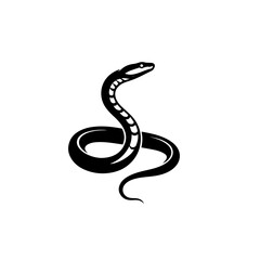 Obraz premium Inland Taipan Snake Vector Art | Highly Venomous Australian Snake Illustration