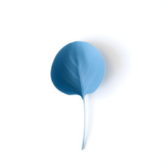 A solitary blue leaf with delicate veins and a gentle curved shape is placed on a pristine white background