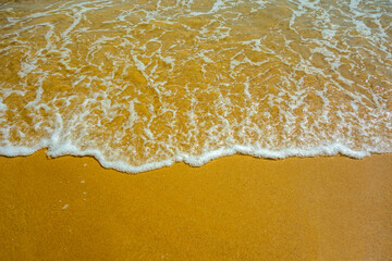 High angle view of beautiful gentle wave on golden sand beach sandy shore foam bubbles