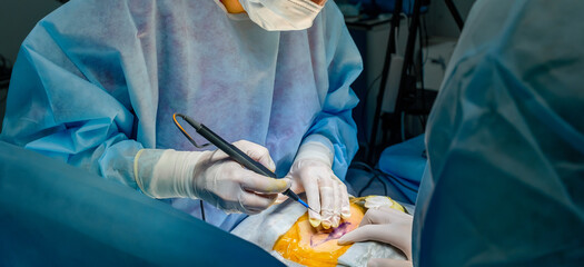 A surgeon operates on a patient using an electrocautery. This is a minimally invasive surgical procedure. A close-up of the surgeon's hands wearing sterile gloves.