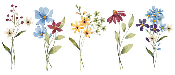 Set watercolor flowers painting, floral vintage bouquet illustrations with wildflowers and leaves. Decoration for poster, greeting card, birthday, wedding design. Isolated on white background.
