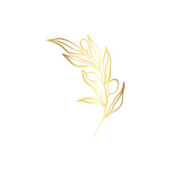 Elegant line card, gold leaf icon logo design vector