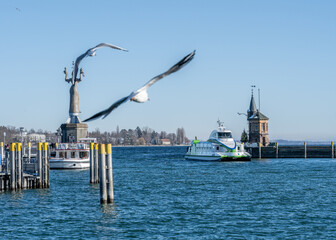 The catamaran ferry enters the wintery harbor, with seagulls circling overhead. Konstanz, Baden-Württemberg, Germany.