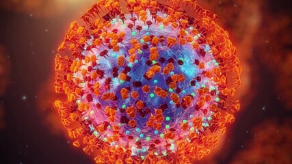 3D animation revealing the internal anatomy of a coronavirus cell through a cross-section view showing the core and spike proteins for medical microbiology research - Powered by Adobe