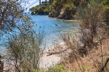Secluded beach with crystal-clear blue water, framed by wild vegetation and rocky coastline.