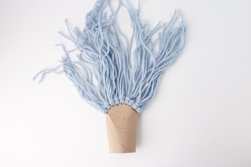 Creative toilet paper roll figure with smiling face and braided yarn hair, perfect for eco-friendly brands, parenting blogs, early education, craft retailers, social media visuals.