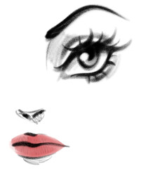 vector illustration of female face