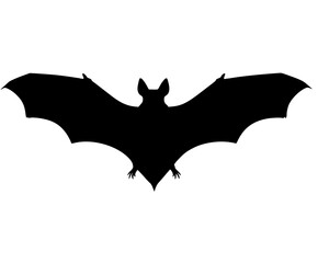 Fototapeta premium Silhouette Night's Guardian: Bat Flight | Clean, isolated vector art for creative projects.