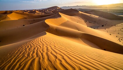 Desert landscape at sunset with rolling sand dunes. Warm light illuminating the textured patterns of windblown sand