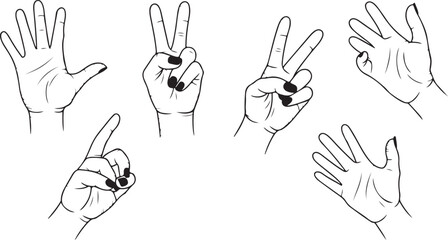 Obraz premium Hand Gesture Line Art Set Featuring Counting Hands, Peace Signs, OK Gesture, Pointing Hands, and Expressive Finger Poses in Minimal Black Vector Style 