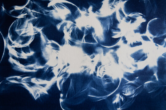 cyanotype image made on watercolor paper of a composition of feathers