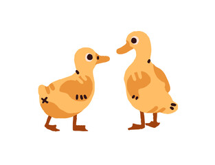 Cute ducklings or goslings have fun together. Funny baby ducks or geese play. Yellow chicks of poultry, domestic birds, feathered farm animals. Flat isolated vector illustration on white background.
