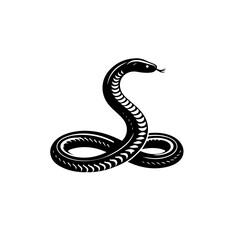 Krait Snake Vector Art | Venomous Snake Illustration