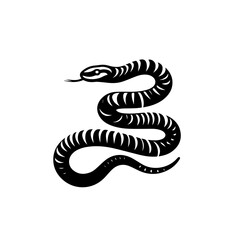 Krait Snake Vector Art | Highly Venomous Snake Illustration