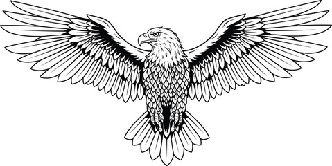 Eagle wings spread, black and white vector, symmetrical frontal view, fierce predator bird, detailed feathers, wildlife silhouette, majestic raptor illustration