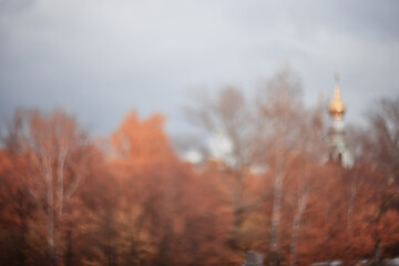 Obraz premium Autumn blurred background of trees in a city park, seasonal backdrop for design