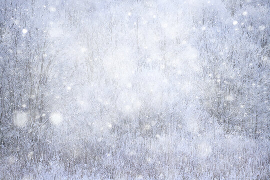 snowfall background, abstract backdrop against blurred winter trees - Powered by Adobe