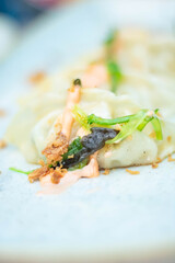 A close-up shot of gyoza garnished with sauce on a plate