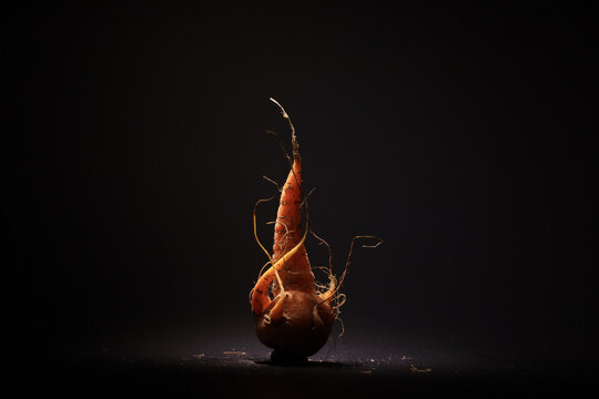 Carrot on a black background, art photo, scary Halloween card