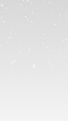 PNG Snowfall Overlay with Transparent Background