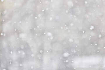 Winter blurred background, snowflakes, light weather, abstract backdrop in the park