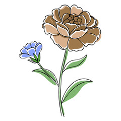 Flower illustration featuring brown carnation and blue blossom  