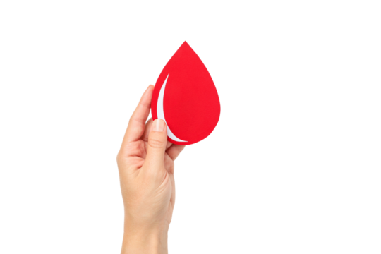 Red blood drop symbol in hand, isolated, PNG