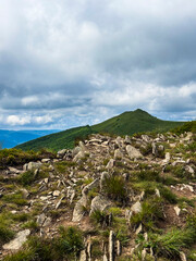 Beautiful landscape of summer mountains