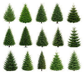 Obraz premium PNG Various evergreen trees collection, transparent background