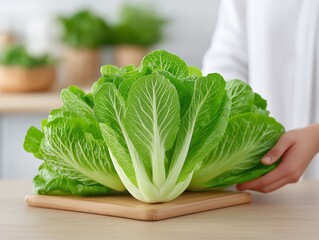 Fresh green romaine lettuce on a wooden cutting board, with hands gently holding it, surrounded by a bright kitchen atmosphere, emphasizing healthy cooking and vibrant ingredients
