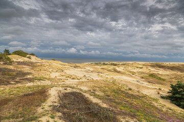 Curonian Spit National Park. Zelenogradsk, Kaliningrad Oblast, Russia.