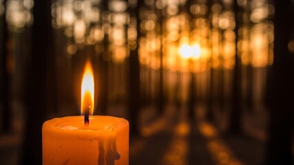 A single burning candle offering a warm, hopeful glow against a serene, blurry forest sunset background