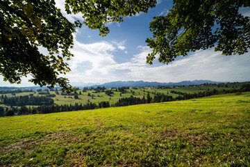 Close-up of grass and tree leaves framing a vast scenic view of the Tatra Mountains from the Sierockie area in Poland. Warm summer light on rolling hills.