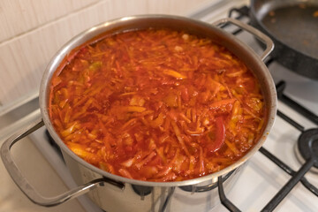 Ukrainian borscht in a pot. Traditional dish borsch