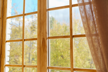 Fototapeta premium Old wooden window pane looking out at green and yellow trees and blue sky with sheer curtain