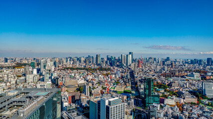 Panoramic view of Tokyo central area cityscape with Tokyo Tower at daytime