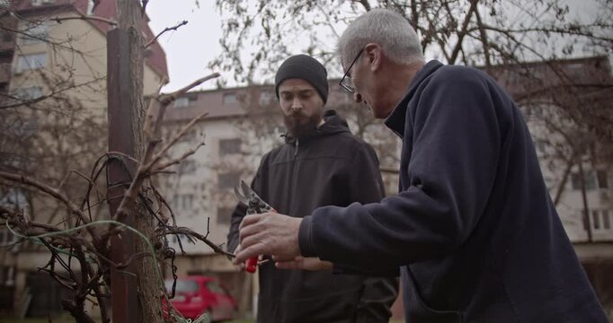 An older man, likely a father or grandfather, shares his gardening expertise with a younger man, teaching him how to prune branches.