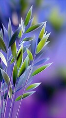 Close-up of bamboo stalks with vibrant green leaves, set against a soft, blurred background of purple and blue hues. The lighting is gentle and diffused, creati