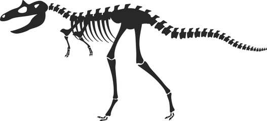 Dinosaur skeleton fossil showing prehistoric animal paleontology